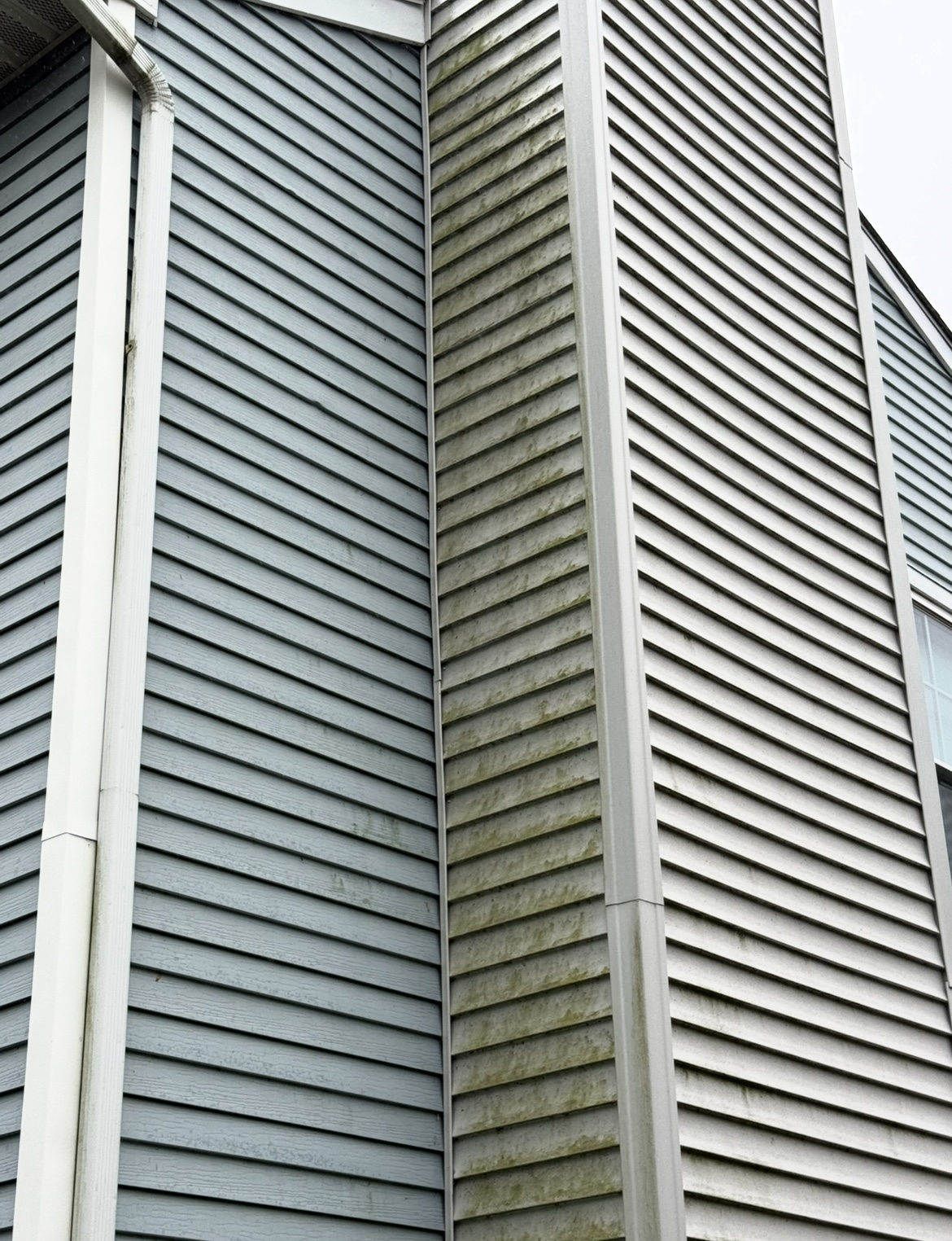 Top Quality House Wash Performed in Doylestown, PA